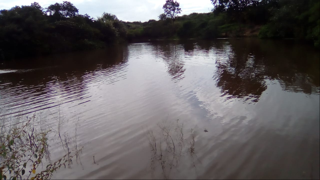São José do Peixe