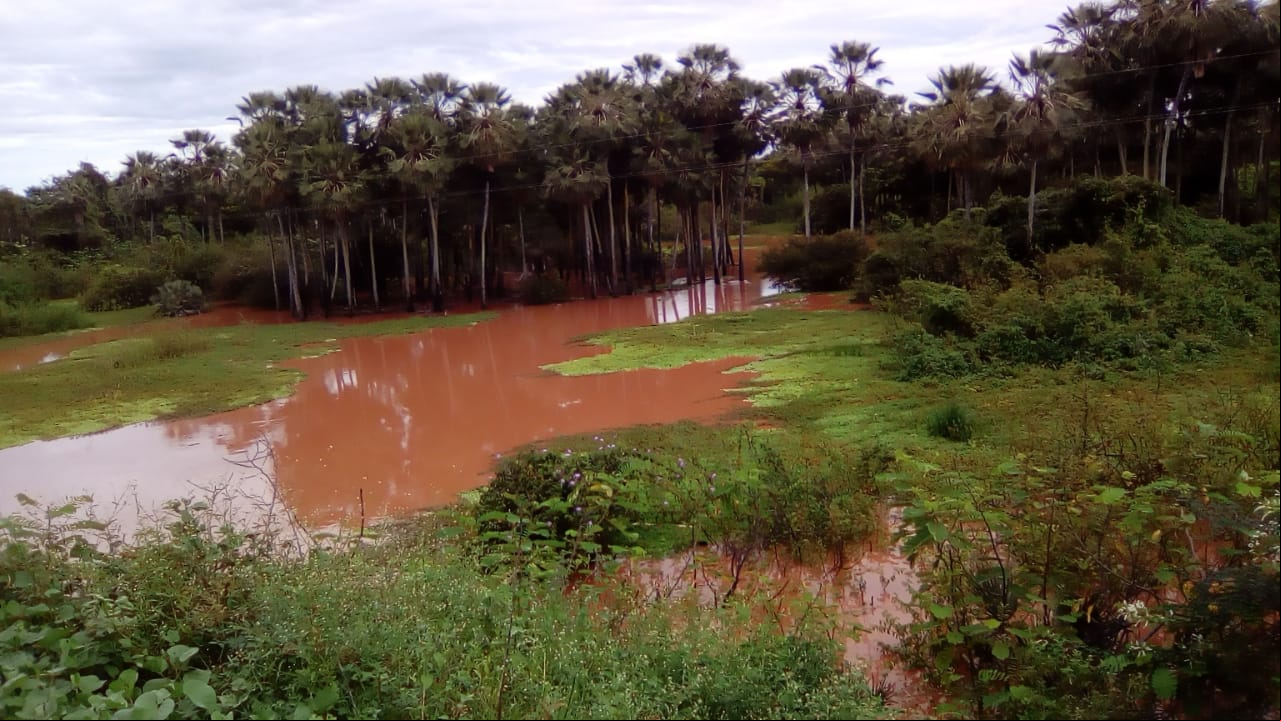 São José do Peixe